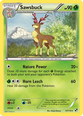Carta Sawsbuck