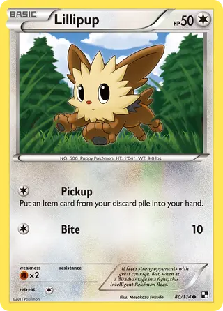 Carta Lillipup