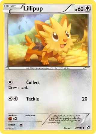Carta Lillipup