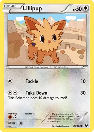 Carta Lillipup