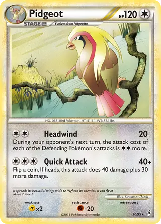 Carta Pidgeot