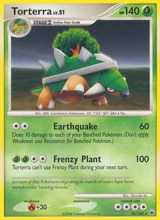 Carta Torterra
