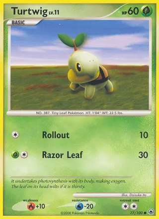 Carta Turtwig