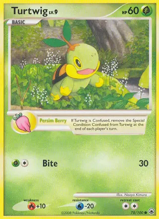 Carta Turtwig