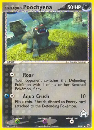 Carta Team Aqua's Poochyena