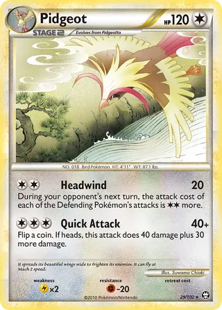 Carta Pidgeot