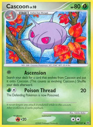 Carta Cascoon