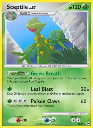 Carta Sceptile
