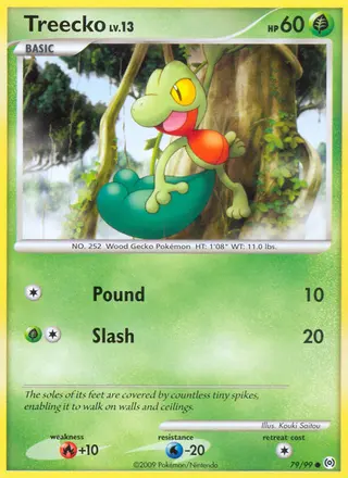 Carta Treecko