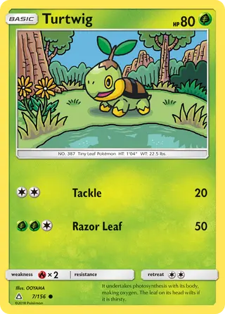 Carta Turtwig