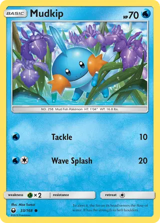 Carta Mudkip