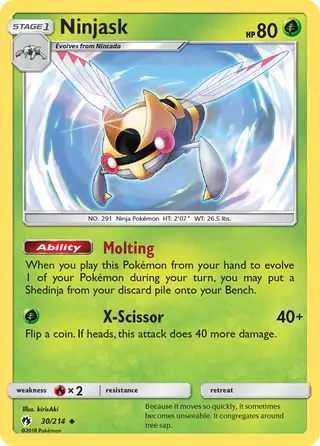 Carta Ninjask