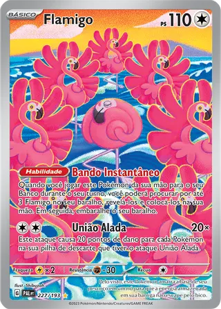 Carta Flamigo