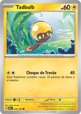 Carta Tadbulb
