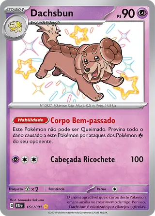 Carta Dachsbun