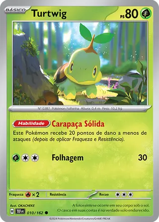 Carta Turtwig