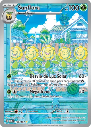 Carta Sunflora