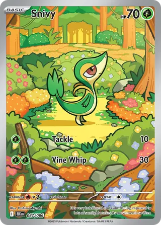 Carta Snivy