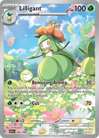 Carta Lilligant