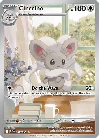 Carta Cinccino