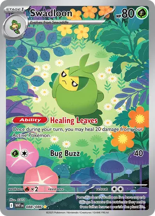 Carta Swadloon
