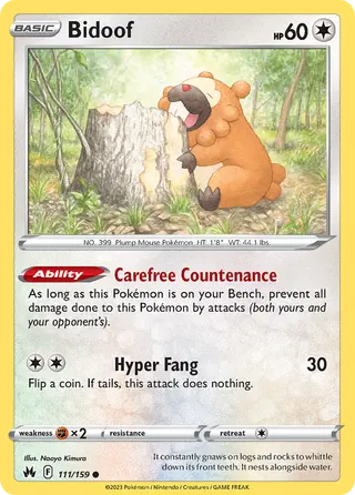 Carta Bidoof