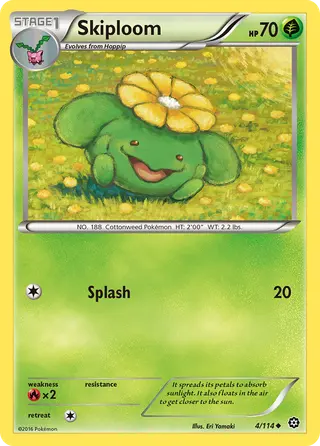 Carta Skiploom