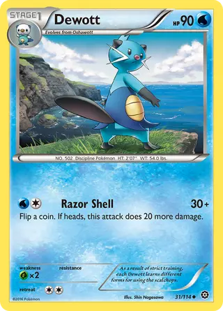 Carta Dewott