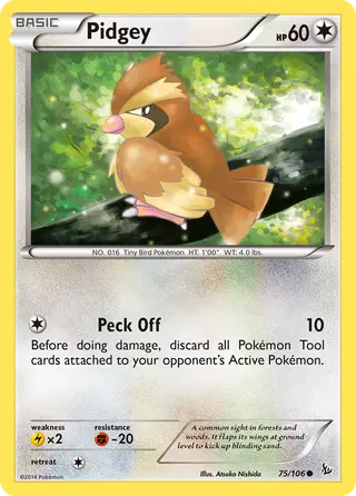 Carta Pidgey