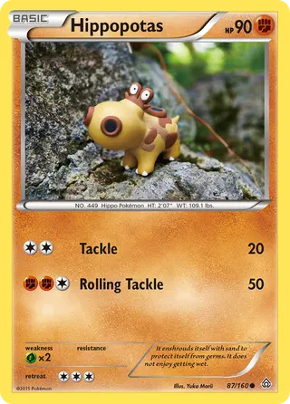 Carta Hippopotas