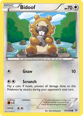Carta Bidoof