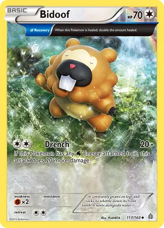 Carta Bidoof